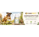 Harpagophytum Caniphyt - Chiens/Chats