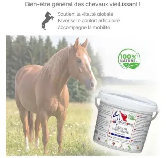 Complexe Senior Vieillesse Labofloral - Chevaux