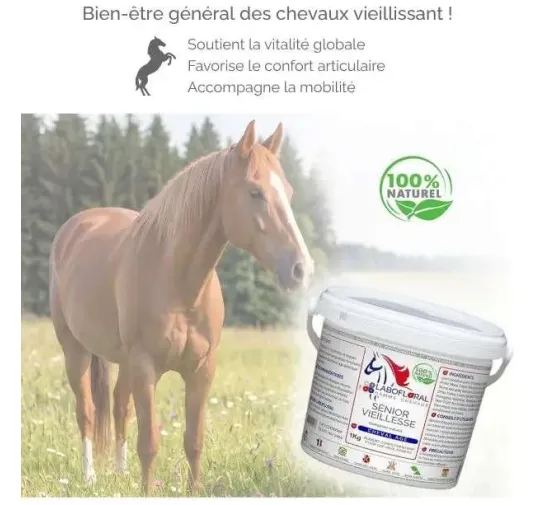 Complexe Senior Vieillesse Labofloral - Chevaux