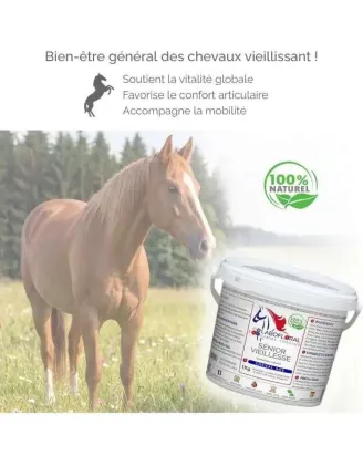 Complexe Senior Vieillesse pour chevaux bienfaits