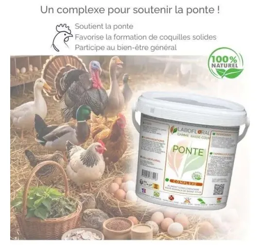Complexe Ponte Labofloral – Basse-Cour