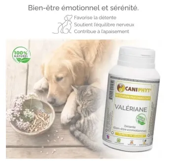 Valériane Caniphyt - Chiens/Chats