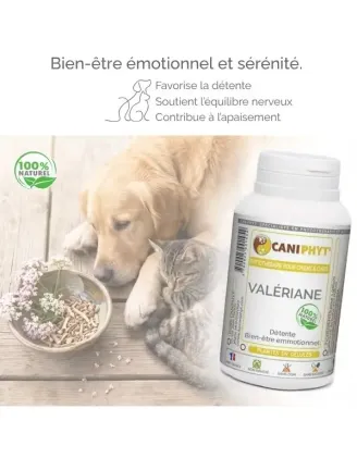 Valériane Caniphyt - Chiens/Chats BIENFAITS