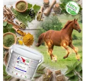 Complexe Mobilité Labofloral - Chevaux
