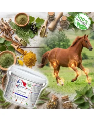 Complexe Mobilité chevaux - Labofloral illustration