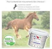 Complexe Mobilité Labofloral - Chevaux
