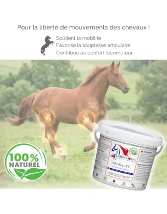 Complexe Mobilité chevaux - Labofloral bienfaits