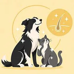 Complément naturel peau et poils chien et chat