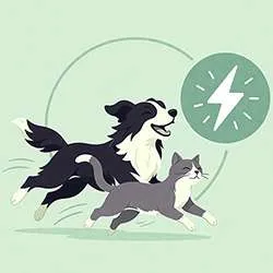 Complément naturel vitalité chien et chat