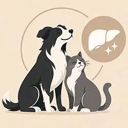 Complément naturel détox chien et chat