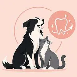 Complément naturel haleine chien et chat