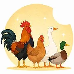 Compléments naturels basse-cour | Poules, volailles