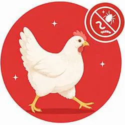 Parasites poules et volailles | Solutions naturelles | Labofloral