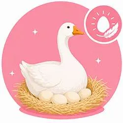 Vitalité poules et volailles | Équilibre nutritionnel | Labofloral