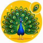 🪶Peau & plumage