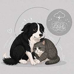  Stress & anxiété 