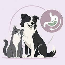  Digestion 